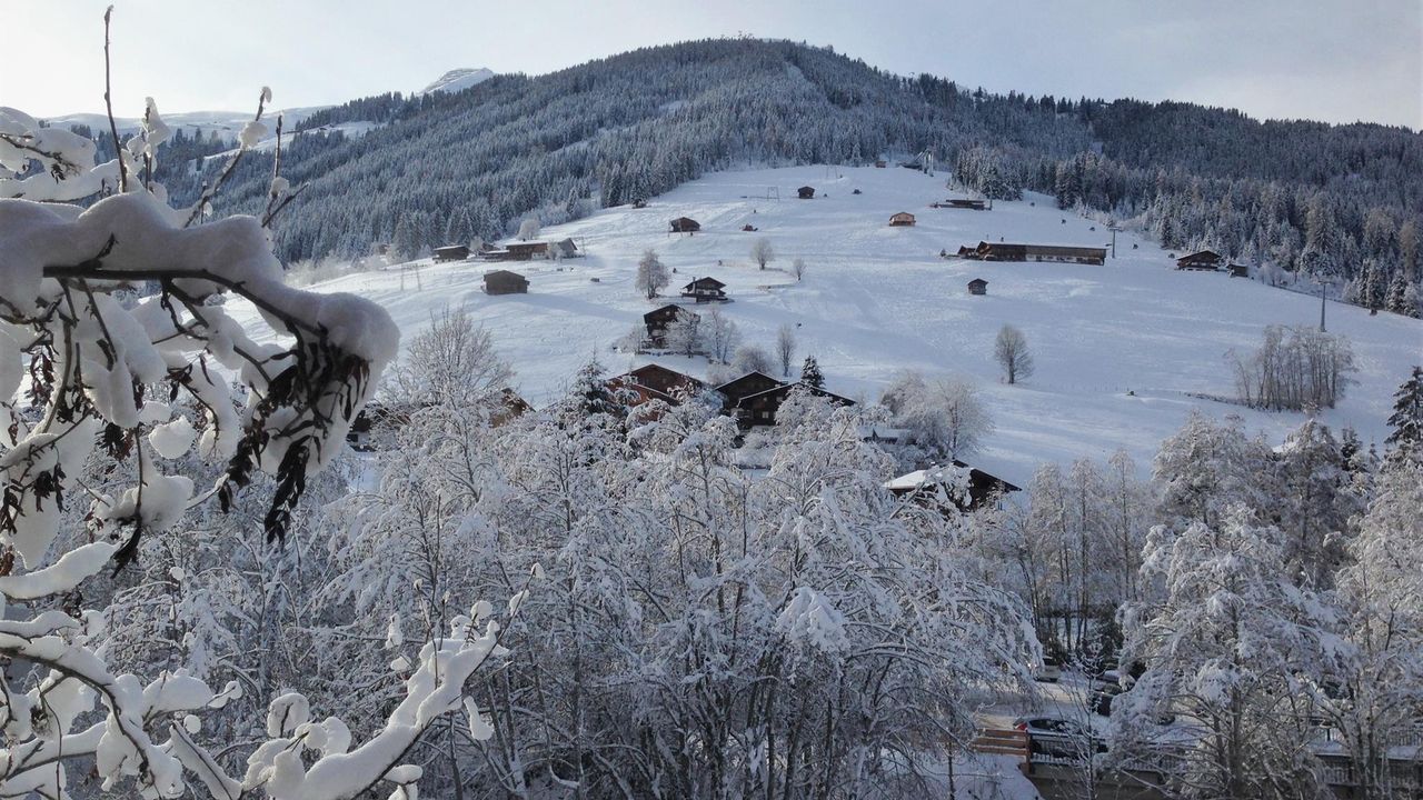 Blick auf die Piste von Connys Landhaus Blick auf die Piste von Connys Landhaus